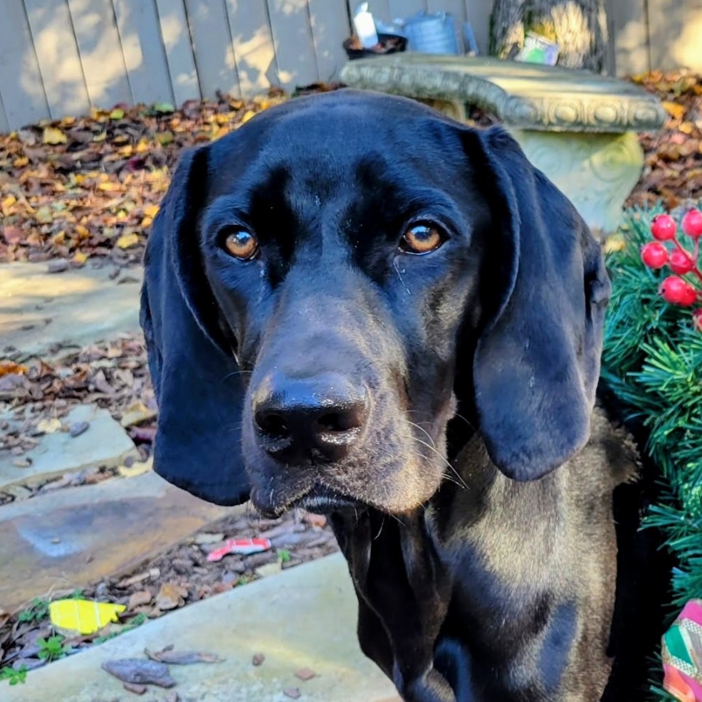 Walter